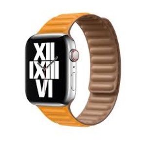 California Poppy Leather Link 44mm Band